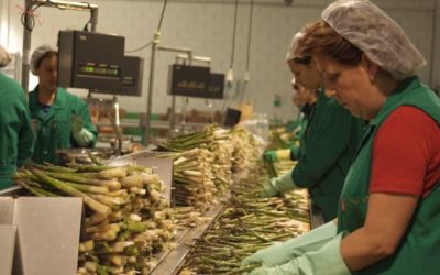 Extremadura desarrolla una nueva estrategia de Responsabilidad Social Empresarial
