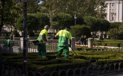 Artículo sobre cláusulas sociales de Autonomía Sur