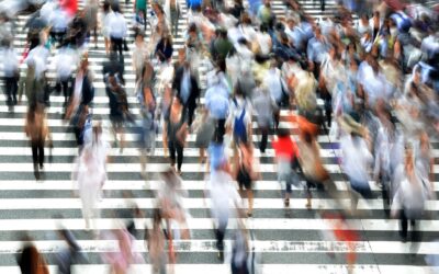 Cádiz participa en el proyecto europeo Cospro para compartir competencias en compras socialmente responsables