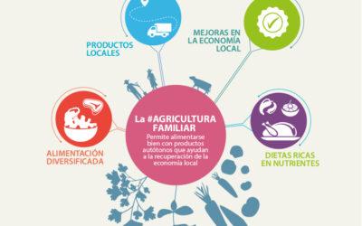 Compras públicas a medianos y pequeños productores