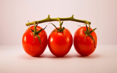 Diversidad de tomates. Capítulo 1