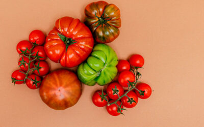 Demasiadas imágenes por un tomate. Capítulo 7.